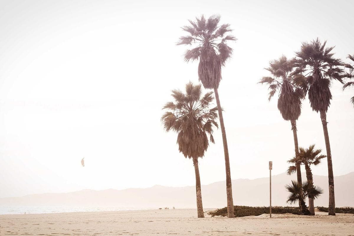 Café Counter & Bar Stools detail 1