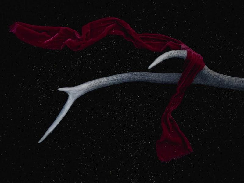 Open-Plan Living & Dining cover